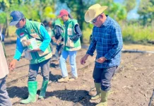 Bupati Kanisius Tuaq Dorong Desa Bean Jadi Sentra Benih