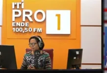Strategi Digital Marketing Tingkatkan Daya Saing UMKM Modern