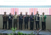 Pembangunan Ketahanan Bencana Fondasi Pembangunan Daerah