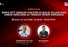 BMKG: Gelombang Kelvin dan MJO Sebabkan Hujan di NTT saat Kemarau