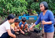 Kemenag Ngada Dorong Kemandirian Ekonomi Umat Lewat Pertanian Hortikultura