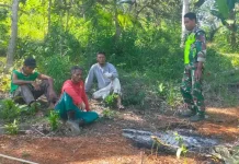 Babinsa Perkuat Komsos dan Pantau Lahan Koperasi