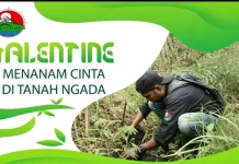 Komunitas Jagatnata Tanam 300 Pohon Selamatkan Mata Air