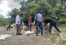 Peringati Hari Laut Sedunia, Burung Indonesia dan SiALIR Ajak Masyarakat Jaga Laut