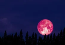 Strawberry Moon Hiasi Langit Indonesia 29-30 Juni, Ini Waktu Terbaik Mengamatinya