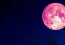 Warga Labuan Bajo Bisa Saksikan Strawberry Moon, Ini Lokasi dan Waktu Terbaik Menga