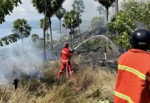Damkar Manggarai Barat Berhasil Kendalikan Kebakaran Lahan 11 Hektare