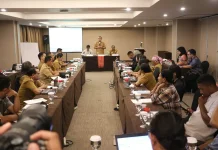 Gubernur Melki Dorong Roadmap Dekarbonisasi, NTT Bidik Net Zero Emission 2050