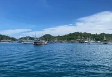 Pemkab Manggarai Barat Wajibkan Kapal Wisata Lunasi Pajak Daerah