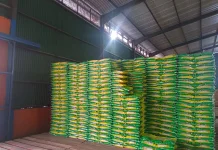 Bulog Ende Pastikan Stok Beras Aman hingga Beberapa Bulan