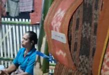 Penenun Solor Kenalkan Tenun Pewarna Alami Kaktus