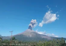 Pemkab Flores Timur Perpanjang Tanggap Darurat Lewotobi hingga Desember 2026