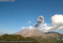 Gunung Lewotobi Laki-laki Kembali Erupsi, Kolom Abu 1,4 Kilometer