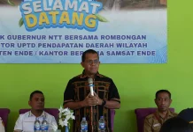 Gubernur NTT Dorong Percepatan PAD lewat Optimalisasi Pajak dan Aset Daerah