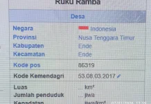 KKN FISIP UNWIRA Kupang, Produksi Video untuk Promosikan Potensi Desa