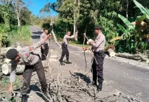 Sat Samapta Polres Ngada Bersihkan Pohon Tumbang saat Patroli