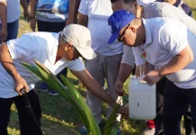 Festival Golo Koe Libatkan Warga Kampanyekan Pariwisata Ramah Lingkungan