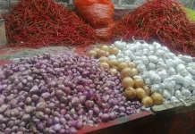 Pasokan Melimpah, Harga Bawang Merah di Pasar Inpres Ruteng Turun Signifikan