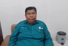 Produktivitas Padi Ende Turun ke 4,5 Ton per Hektare, Ini Penyebabnya