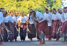 Tarian Dua Bolo Jadi Ungkapan Syukur atas Hasil Panen Masyarakat Lamaholot