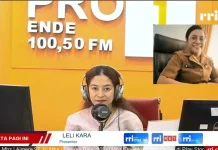 Dukcapil Ende Buka Layanan Perekaman e-KTP Selama Bupati Cup 2026