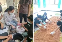 Pengembangan Trichoderma Sikka Dorong Pertanian Ramah Lingkungan