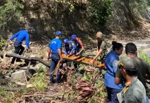 Satpol PP Manggarai Barat Pangkas Pohon Rawan Tumbang di Jalan Raymundus Rambu