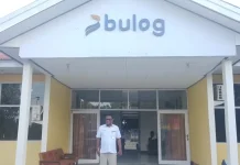 Bulog Flores Timur Terapkan Standar Ketat Jaga Mutu 178 Ton Jagung
