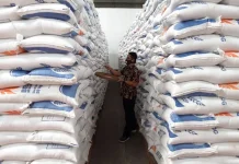 Bulog Pastikan Stok Beras Flores Timur Aman hingga Empat Bulan