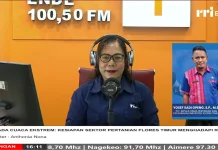 Distan Flores Timur Perkuat Antisipasi Dampak Cuaca terhadap Pertanian