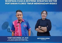 Distan Flores Timur Ajak Petani Adaptif Hadapi Perubahan Cuaca Ekstrem