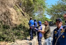 Kasat Pol PP Manggarai Barat Dorong Pemantauan Berkala Pohon Rawan Tumbang