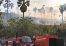 Kebakaran Lahan Hanguskan hingga 100 Hektare di Perbukitan Labuan Bajo