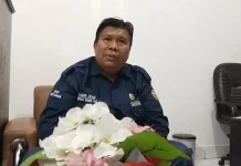Luas Tanam dan Panen Padi Ende Menurun akibat Hama Tikus