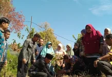 MAN 1 Manggarai Terapkan Ekoteologi Kemenag Lewat Gerakan Peduli Lingkungan
