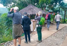 Birdwatching Kian Diminati Wisatawan Mancanegara di Desa Wisata Wae Lolos