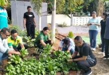 Panen Perdana Pakcoy Warnai Implementasi Asta Protas Kemenag Flores Timur