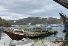 Tanggapi Puluhan Bangkai Kapal Pulau Bajo, Pemkab Siapkan Langkah Penanganan