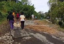 DPRD Nagekeo Dorong Perbaikan Jalan Jalur tengah Aemali-Danga