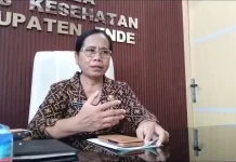 Mayoritas Kasus HIV Kabupaten Ende Ditemukan lewat Skrining Aktif