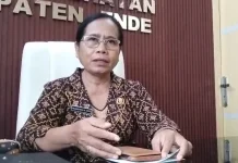Dinkes Ende Perkuat Empat Strategi Pengendalian HIV