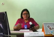 Kasus ISPA di Puskesmas Kota Ende Naik, Capai 292 Kasus pada April