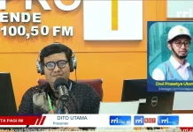 PLN Targetkan Elektrifikasi Tiga Desa di Ngada