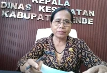 Enam Puskesmas di Ende Masih Kekurangan Dokter