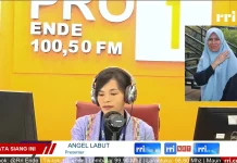 Dinkes Ende Tekankan Peran Masyarakat dalam Deteksi Dini Penyakit Menular