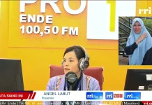 Dinkes Ende Catat Peningkatan Kasus ISPA Selama Musim Kemarau
