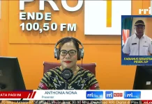 Ngada Siapkan 1.235 Hektare Program Cetak Sawah Rakyat Nasional