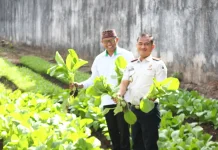 Rutan Larantuka Panen Perdana Sayur Organik, Wujud Program Ekoteologi Kemenag
