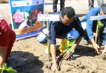 Wabup Nagekeo Ajak Masyarakat Lestarikan Mangrove