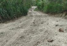 Pemkab Sikka Pastikan Peningkatan Jalan Bora Blupur Tahun Ini